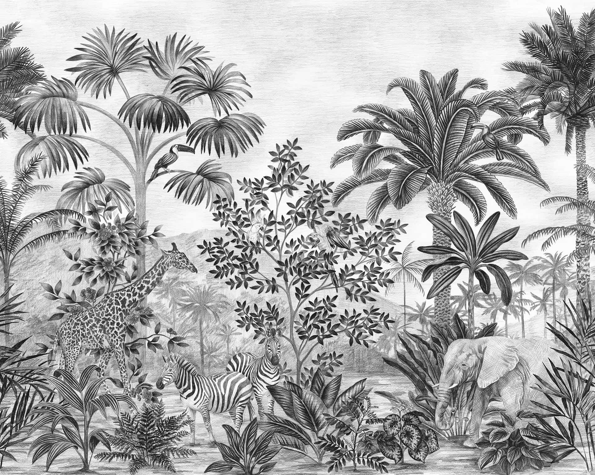  壁紙 — 一幅詳細的黑白插圖，描繪了叢林動物，包括長頸鹿、斑馬和大象，置身於茂密的熱帶植物中。