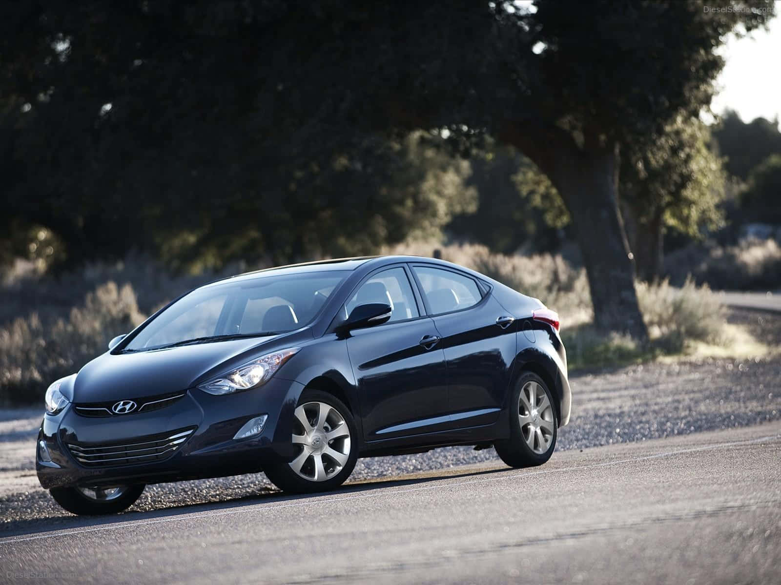 Hyundai Elantra 桌布 壁紙 — 一輛時尚的黑色現代伊蘭特轎車沿著陽光明媚的鄉村道路行駛，兩旁是高聳的樹木和乾草。