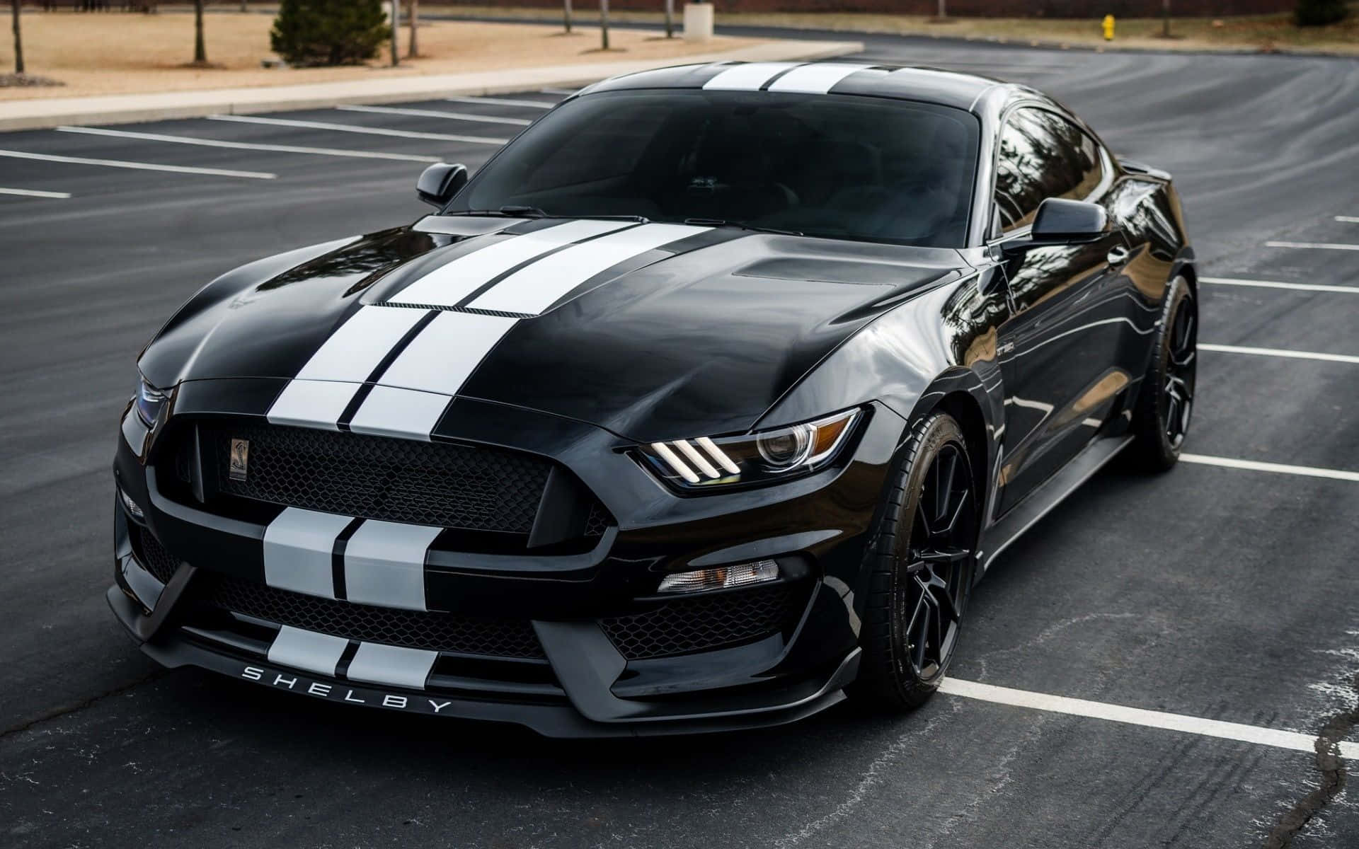 Ford Mustang Shelby Gt350 桌布 壁紙 — 一輛時尚的黑色Shelby Mustang，帶有醒目的白色賽車條紋，在空蕩蕩的瀝青停車場日光下閃耀。