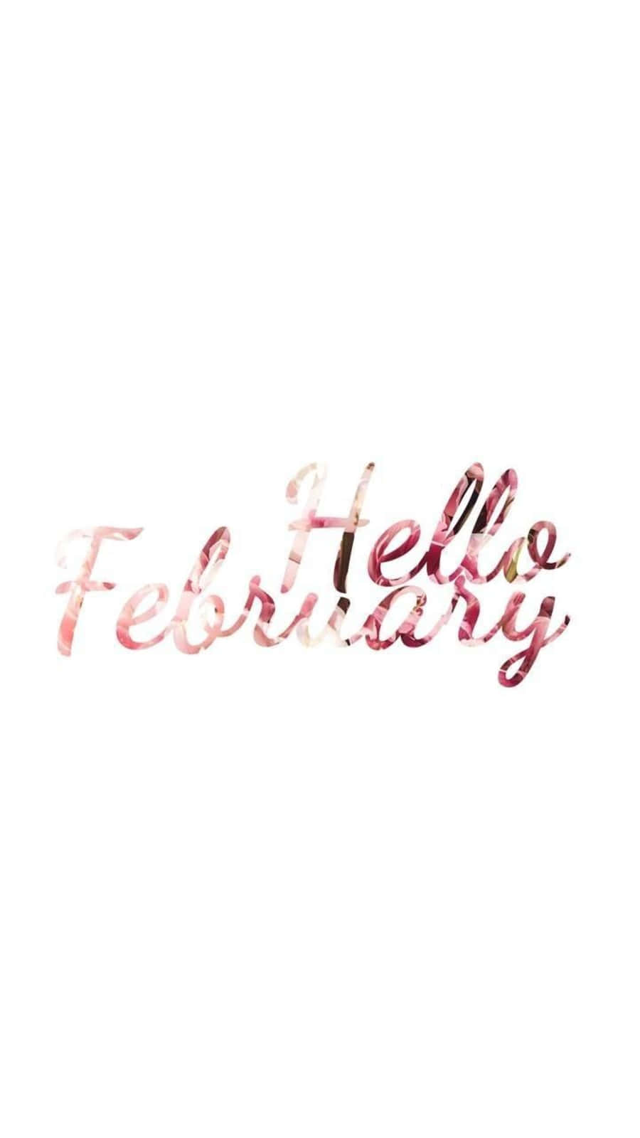 February iPhone 桌布 壁紙 — 「Hello February」這幾個字以優雅的草書字體書寫，帶有玫瑰金水彩質感，背景為純白色。