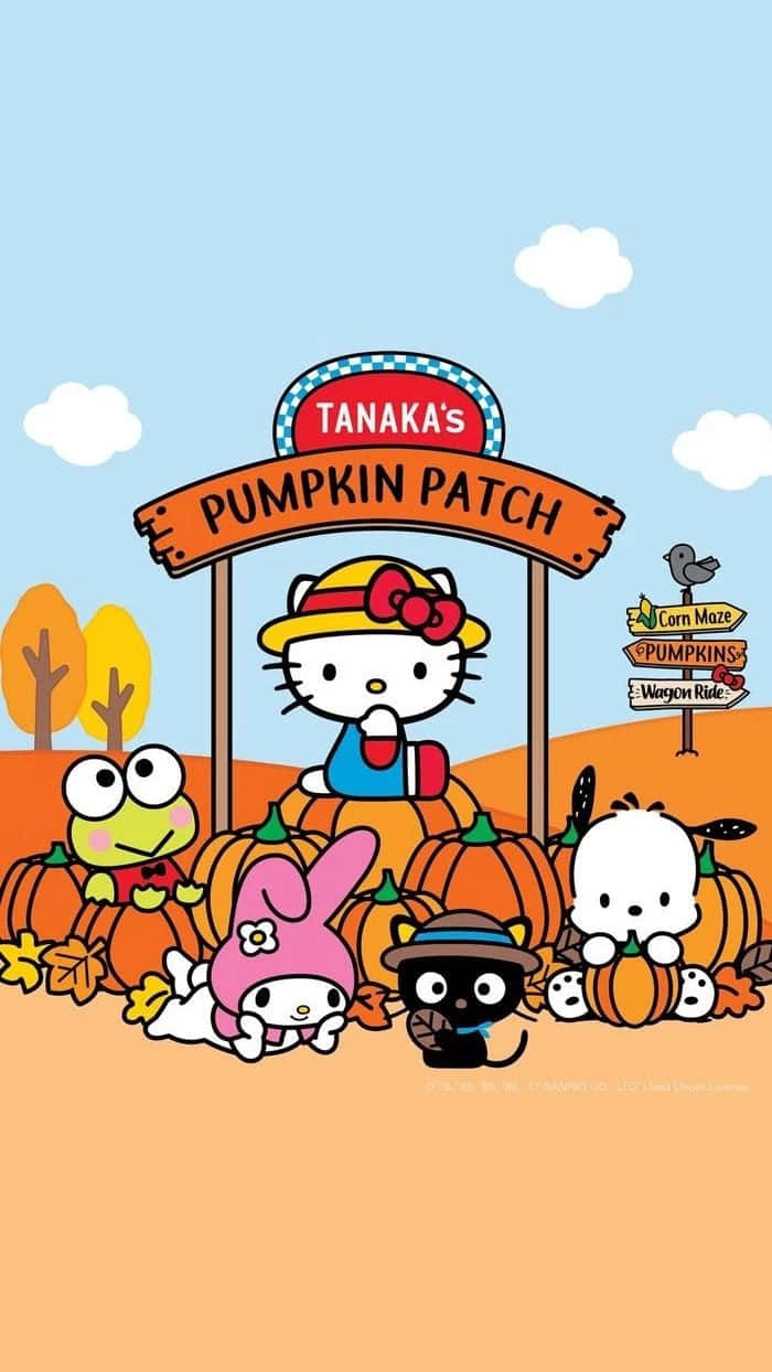 Hello Kitty Thanksgiving 桌布 壁紙 — Hello Kitty 和朋友們在田中南瓜園的南瓜之間，在晴朗的藍天下愉快地擺姿勢。
