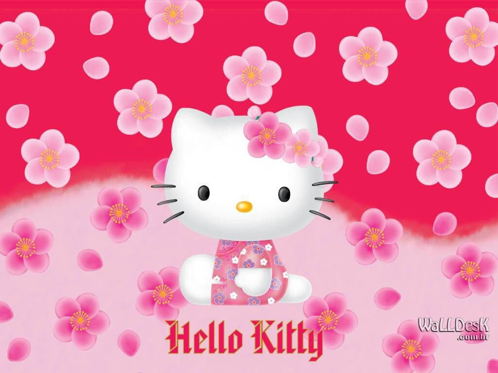 Hello 桌布 壁紙 — Hello Kitty 坐在粉紅色的櫻花田中微笑，背景是鮮豔的紅色。