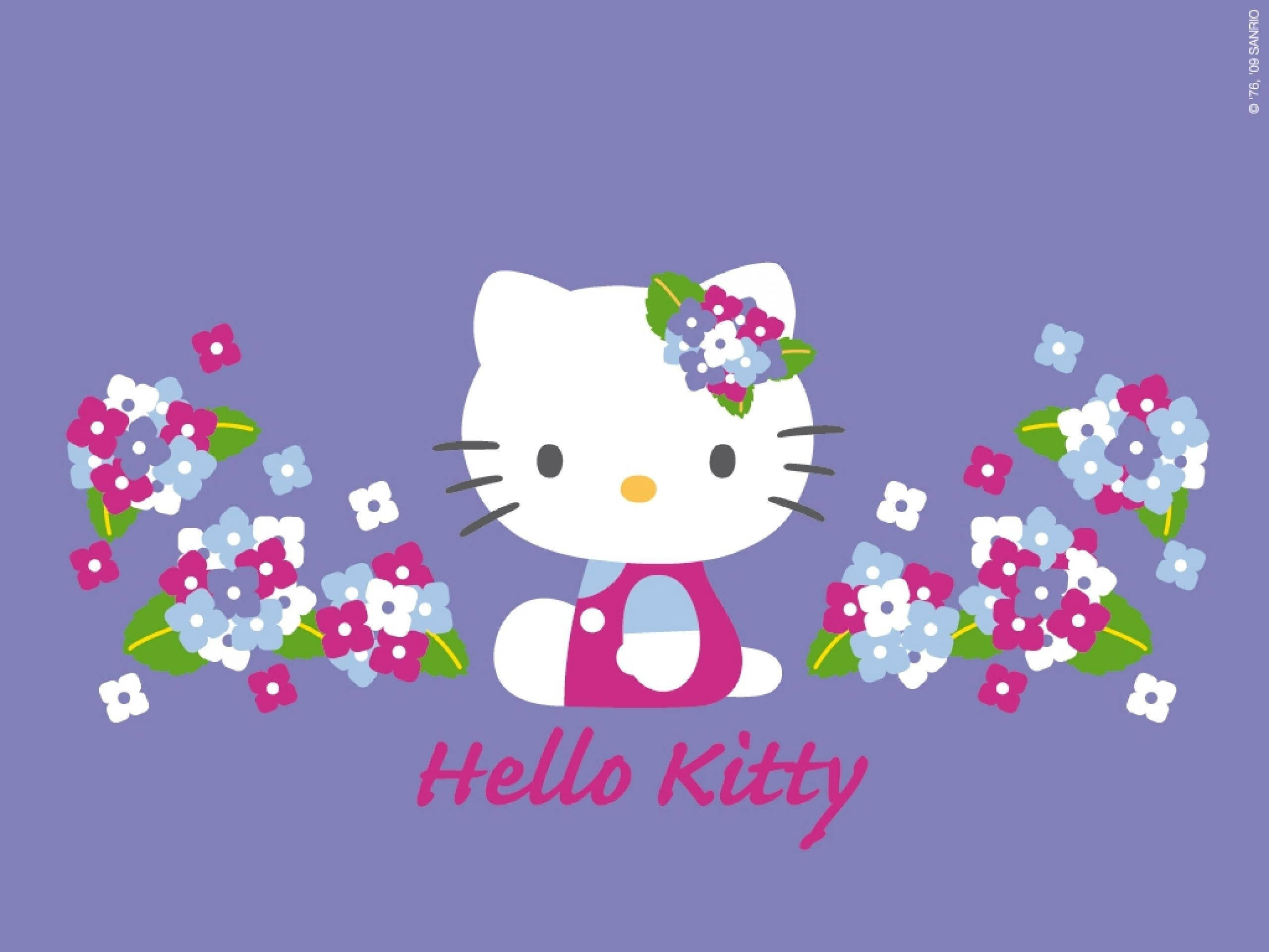 Hello 桌布 壁紙 — Hello Kitty 坐在紫色背景上，被粉紅色、藍色和白色的花朵包圍，下面寫著她的名字。