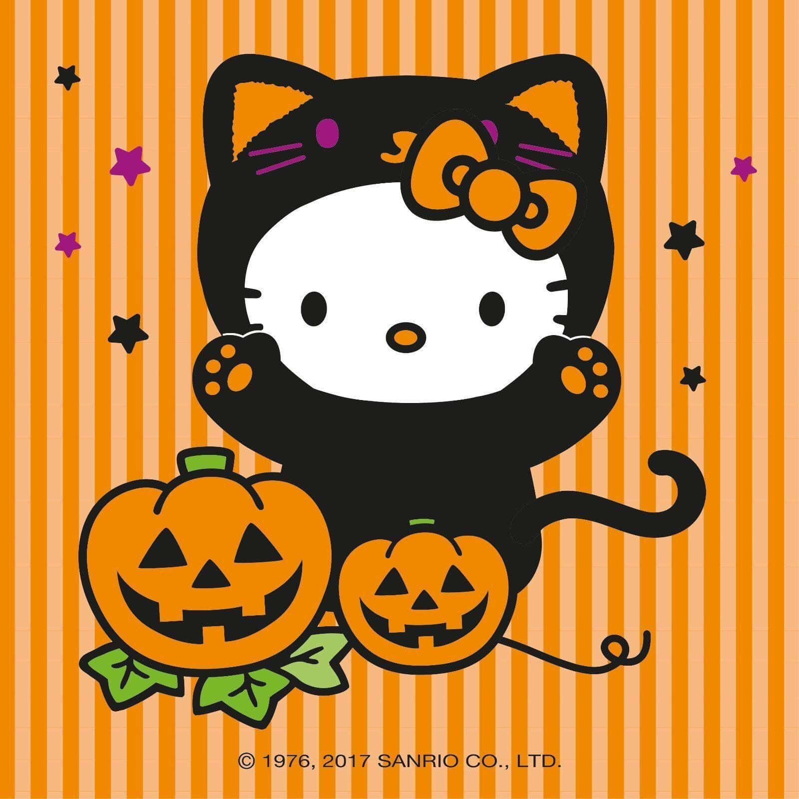 南瓜 桌布 壁紙 — Hello Kitty 裝扮成一隻黑貓，戴著橙色蝴蝶結，在橙色條紋背景和散落的星星中，抱著兩個微笑的南瓜燈。