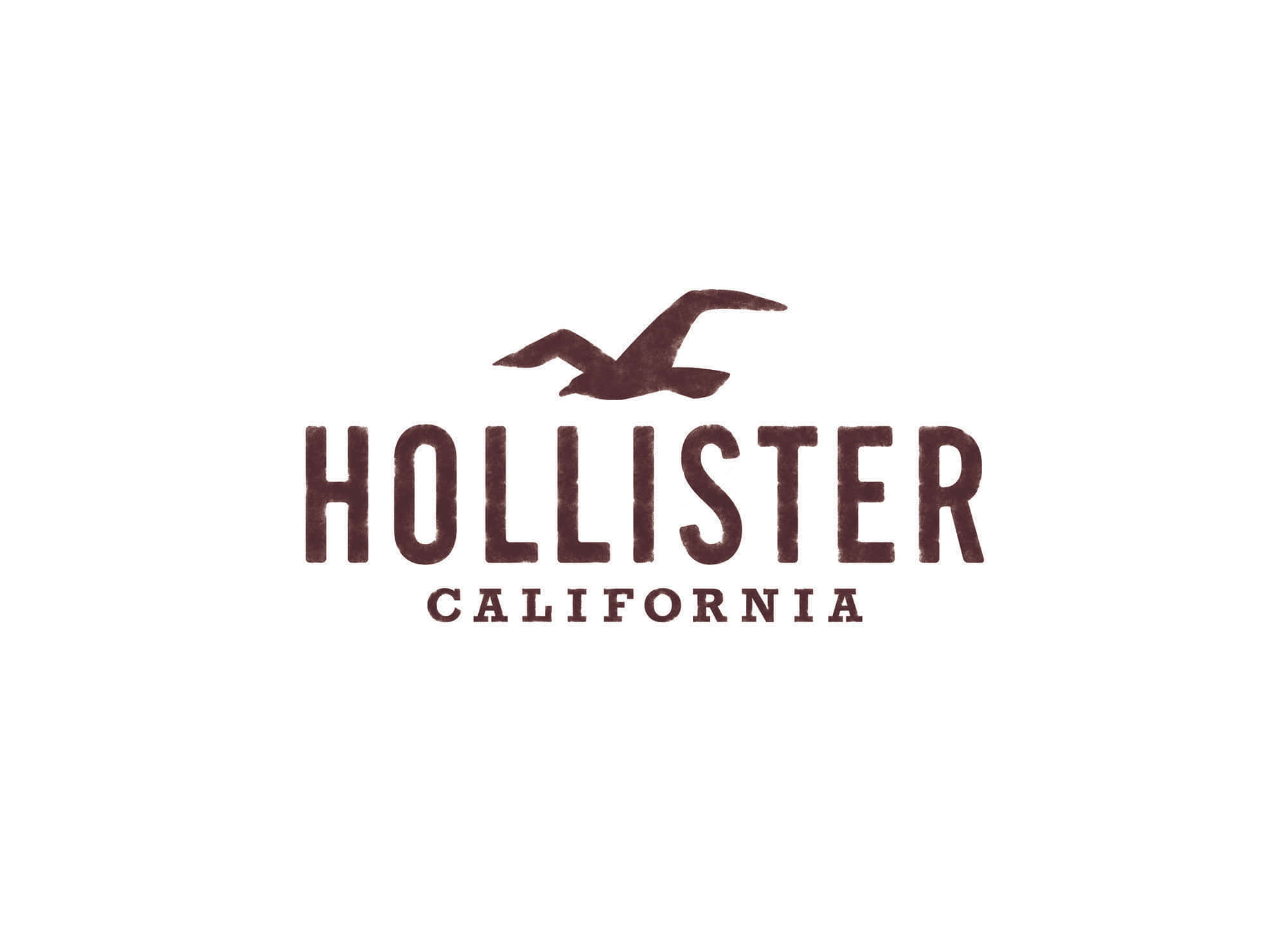 hollister 桌布 壁紙 — Hollister California 標誌，白色背景上有一個棕色海鷗剪影，位於粗體紋理字樣上方。