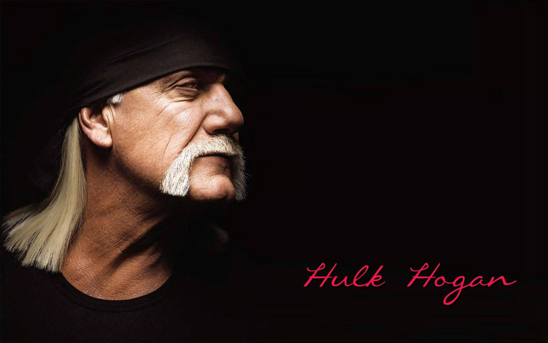 Hulk Hogan 桌布 壁紙 — Hulk Hogan 側面特寫肖像，黑色背景，名字以粉紅色草書顯示。