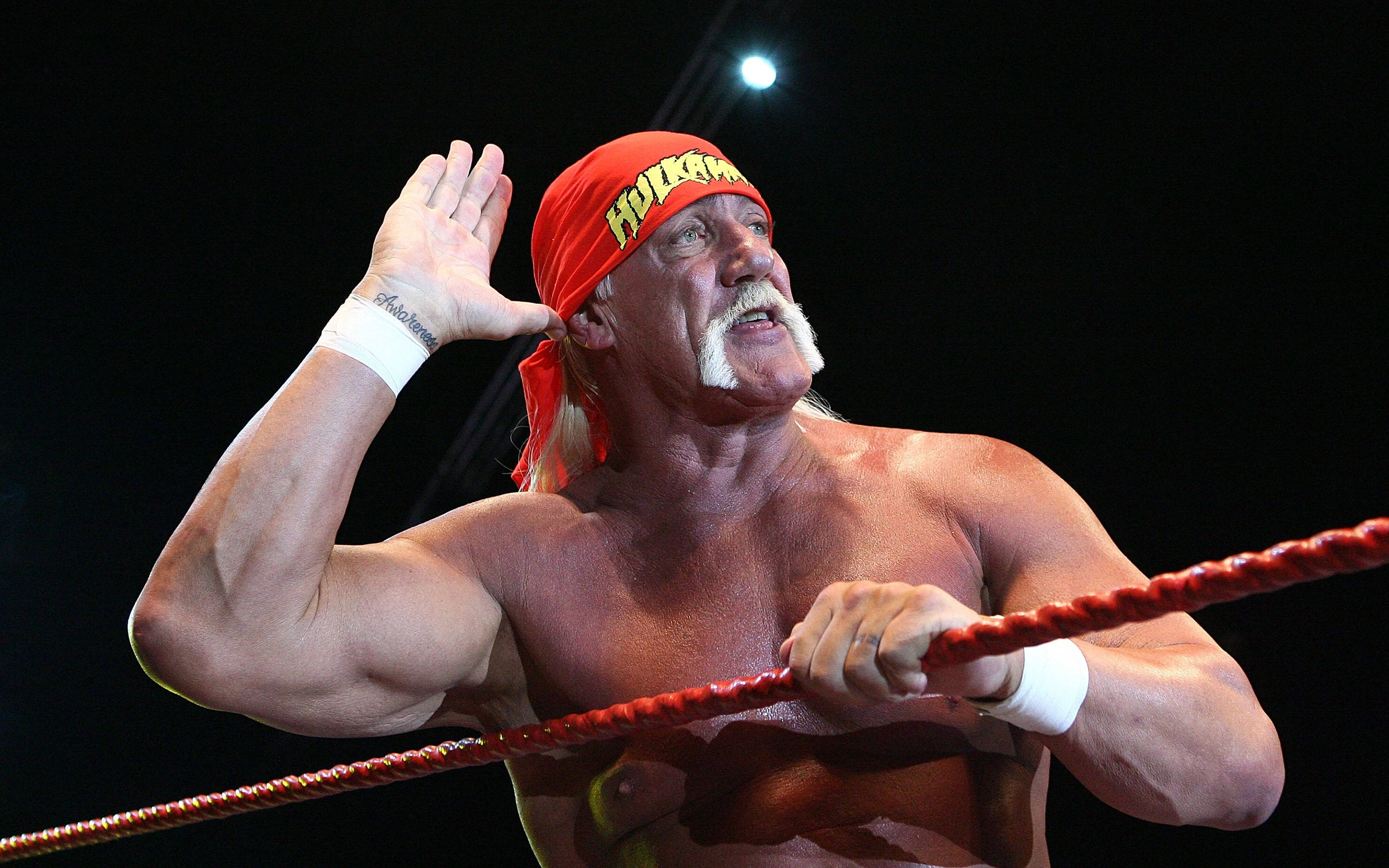 Hulk Hogan 桌布 壁紙 — Hulk Hogan 在明亮的場館燈光下，戴著紅色頭帶和白色腕帶，從摔角擂台上向粉絲揮手。