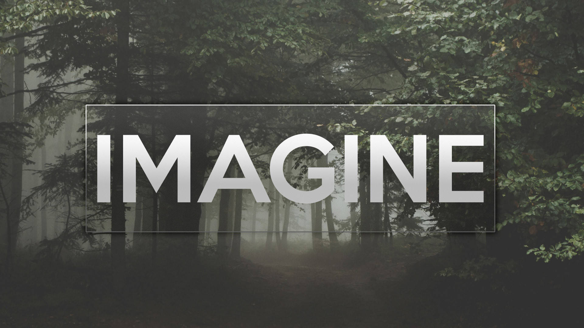 Dragons 桌布 壁紙 — 「imagine」一詞以粗體白色字母在薄霧籠罩的森林中發光，森林中有高大的樹木和柔和擴散的光線。