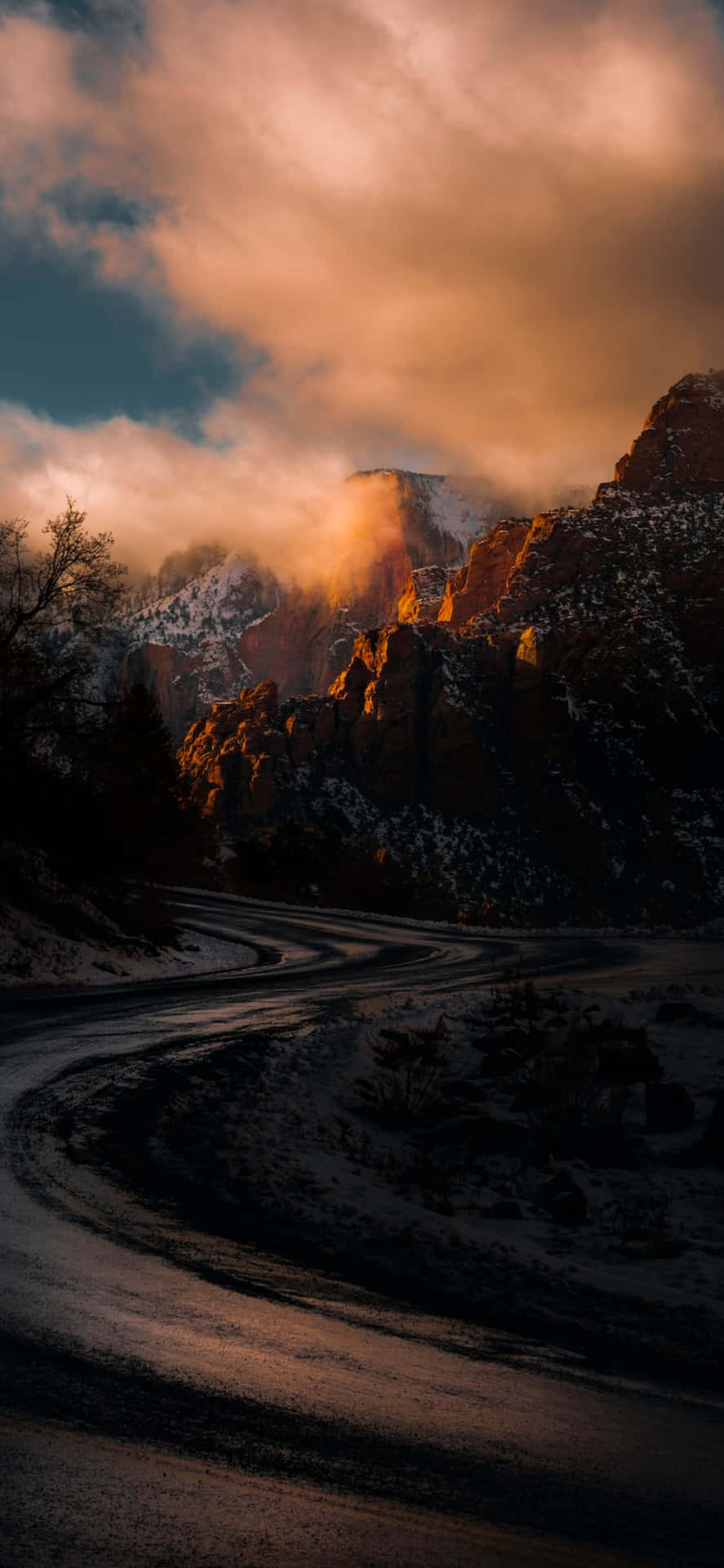 iPhone 12 Pro Max 背景
