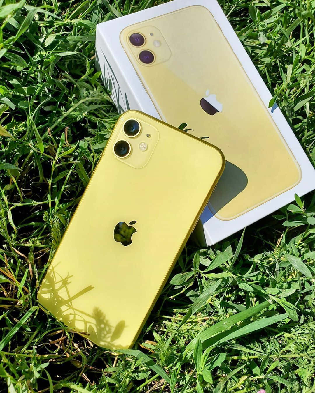 iPhone 12 圖片 壁紙