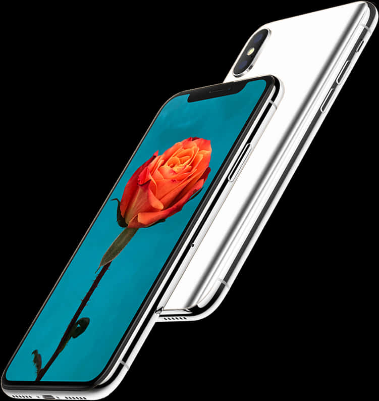 紅色玫瑰iPhone桌布 壁紙
