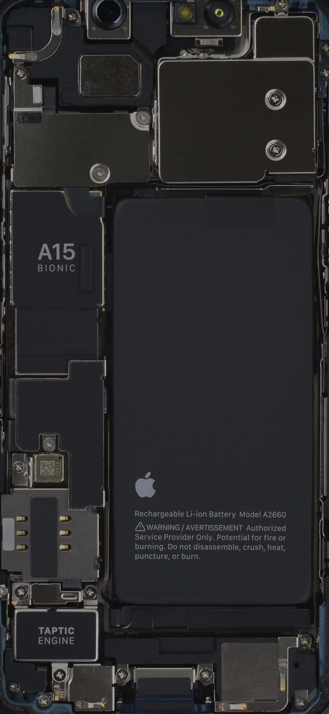 拆解的 iPhone 顯示 A15 Bionic 晶片和電池 — iPhone 13 Pro 壁紙