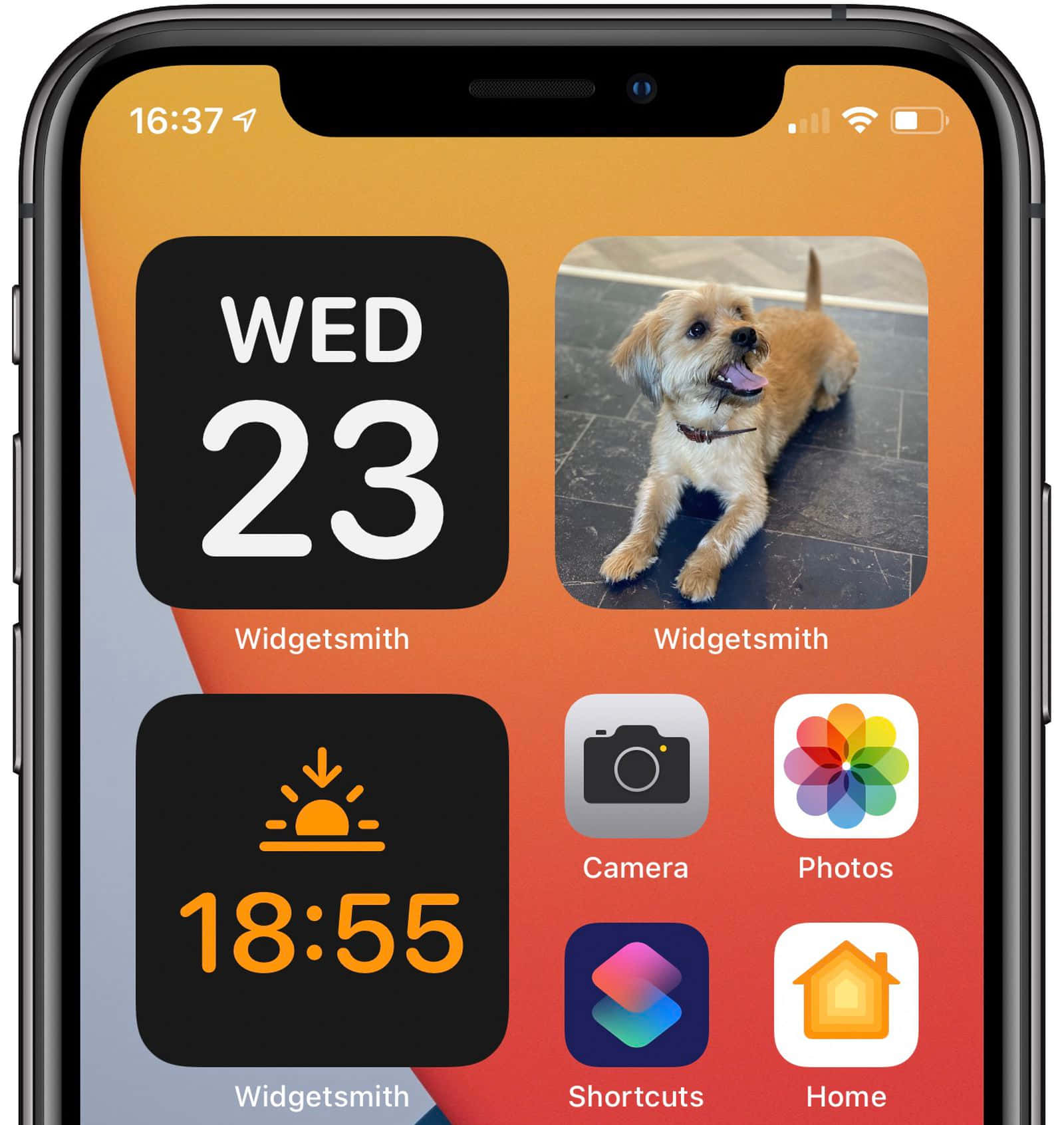 iPhone 桌布 壁紙 — iPhone 主螢幕，帶有顯示日期、時間、天氣和瓷磚地板上快樂小狗照片的小工具。