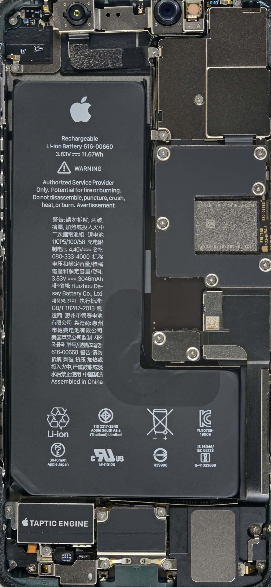 Inside iPhone 桌布 壁紙 — iPhone 內部組件的特寫，顯示電池電路板和 Taptic Engine。