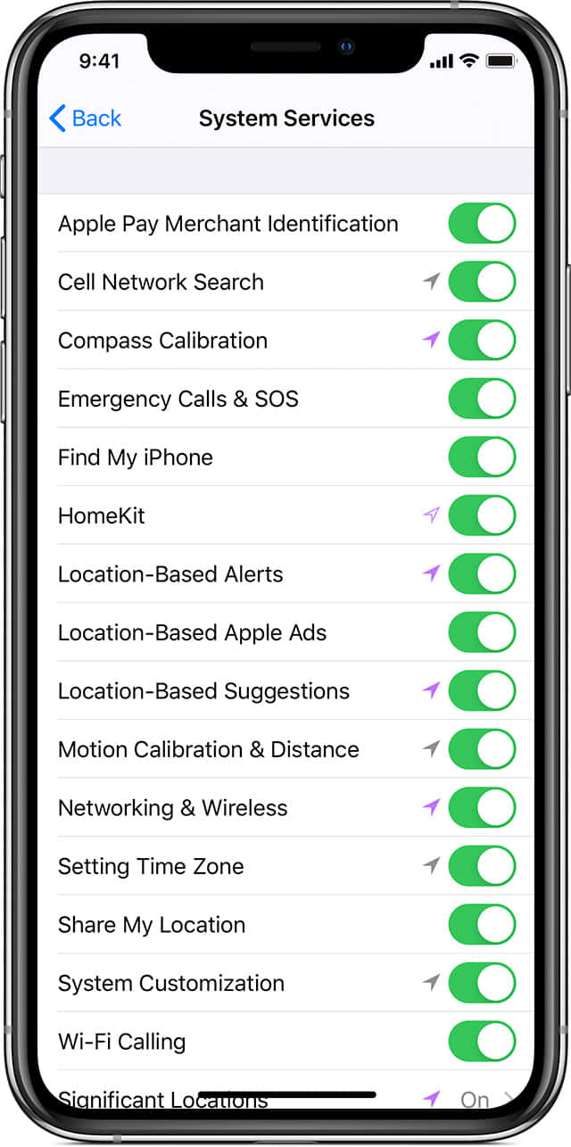 iPhone 桌布 壁紙 — iPhone 螢幕顯示系統服務設定，帶有綠色切換開關，用於 Apple Pay 和基於位置的提醒等功能。