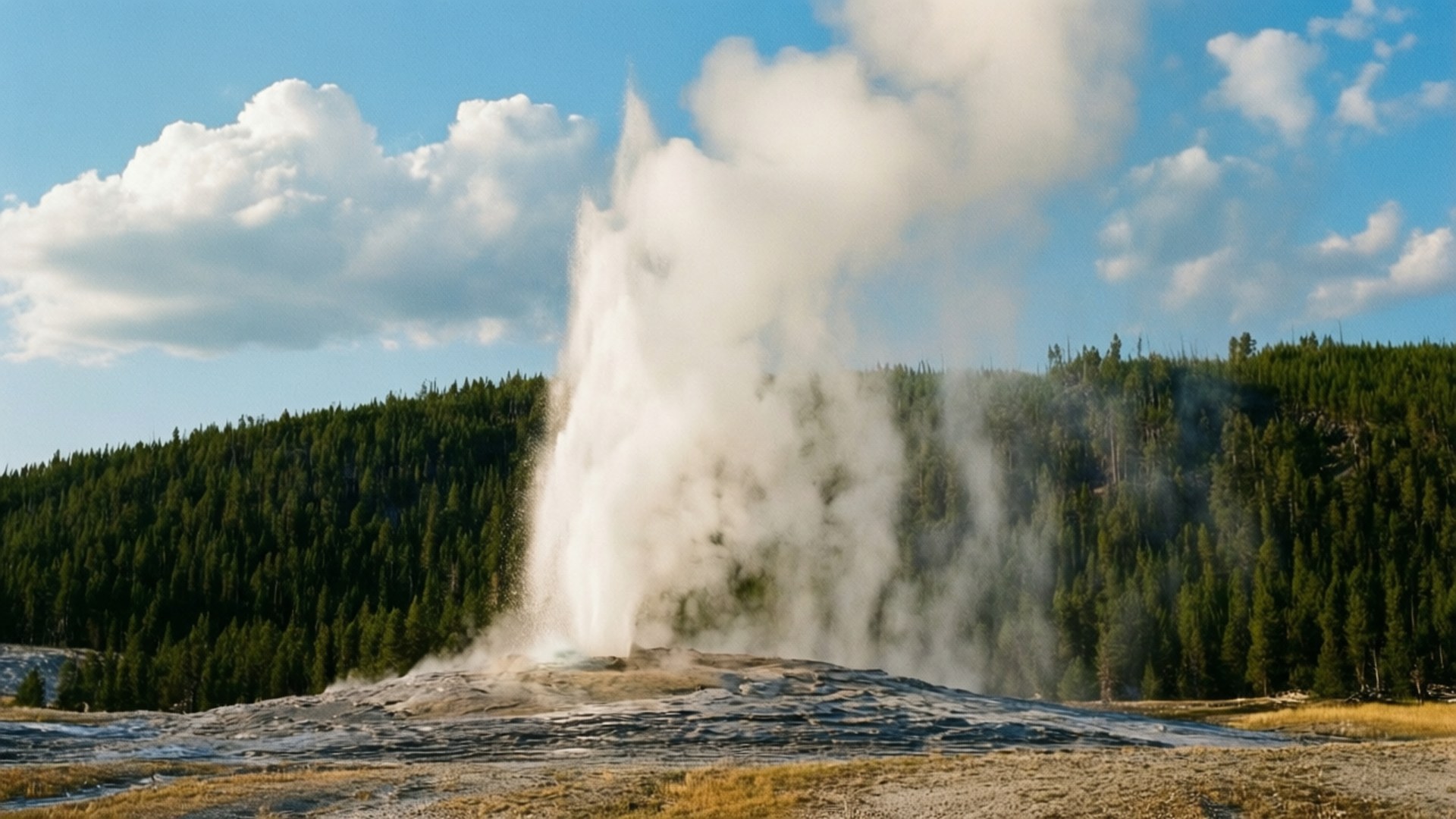 Old Faithful Eruption 壁紙 — 間歇泉噴發，蒸氣柱高聳入雲，背景是茂密的綠色森林和藍天白雲。