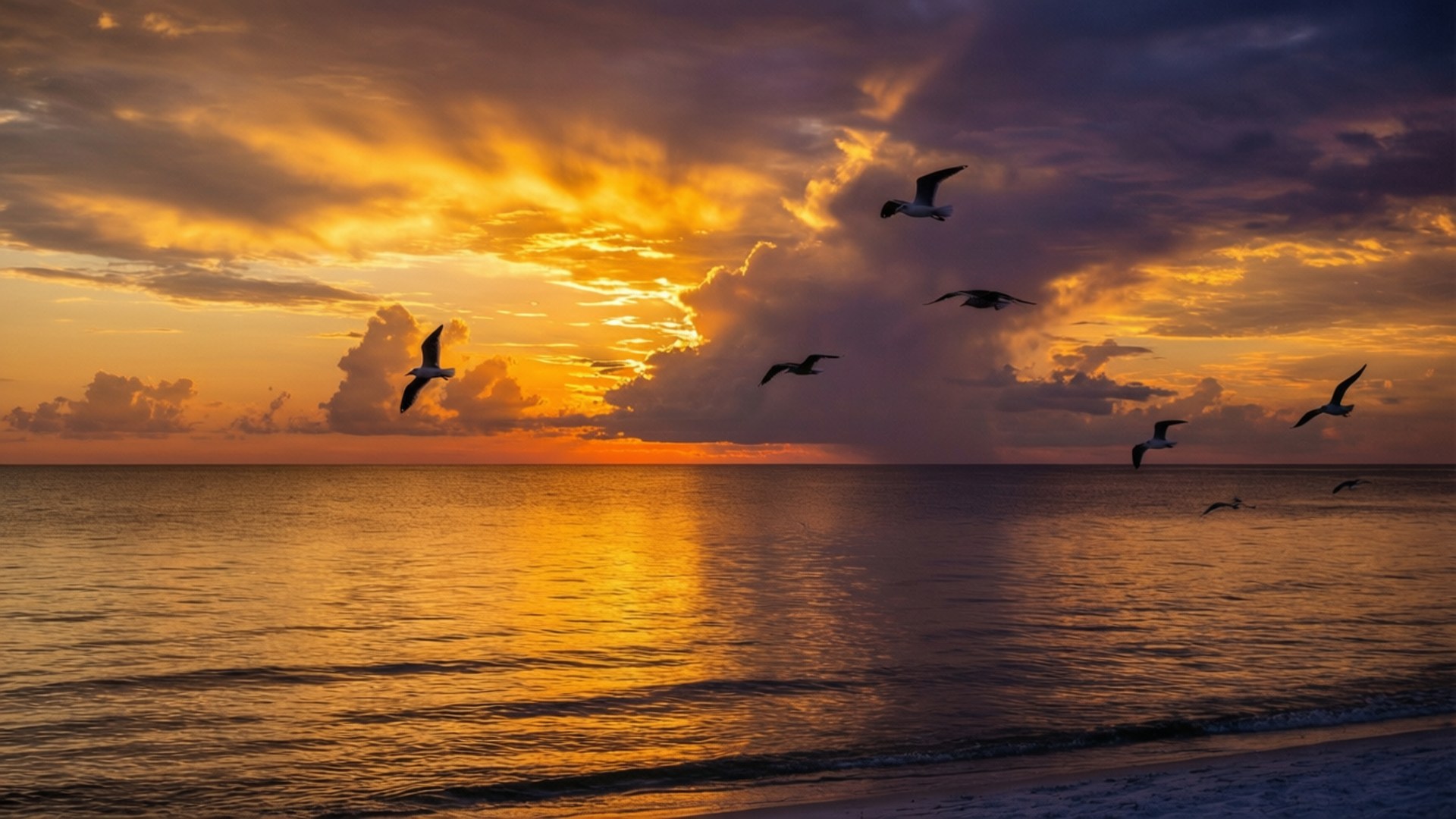 Gulf Shores Sunset Serenity 壁紙 — 剪影的海鷗在日落時分翱翔於寧靜的海洋上空，金色光芒在水面上反射，下方是戲劇性的紫色和橙色雲彩。