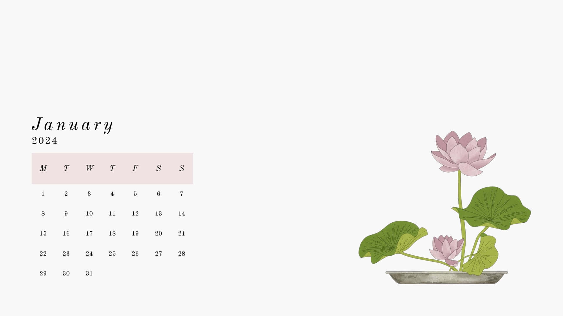  壁紙 — 簡約風格的2024年1月月曆，淺色背景上灰色花盆中精緻的粉紅蓮花和綠葉。