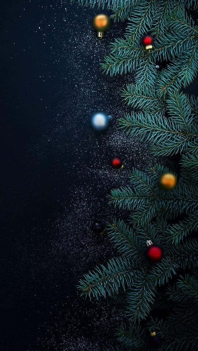  壁紙 — 節日松樹枝條飾以紅色和金色裝飾，在深色閃爍背景上漂浮。