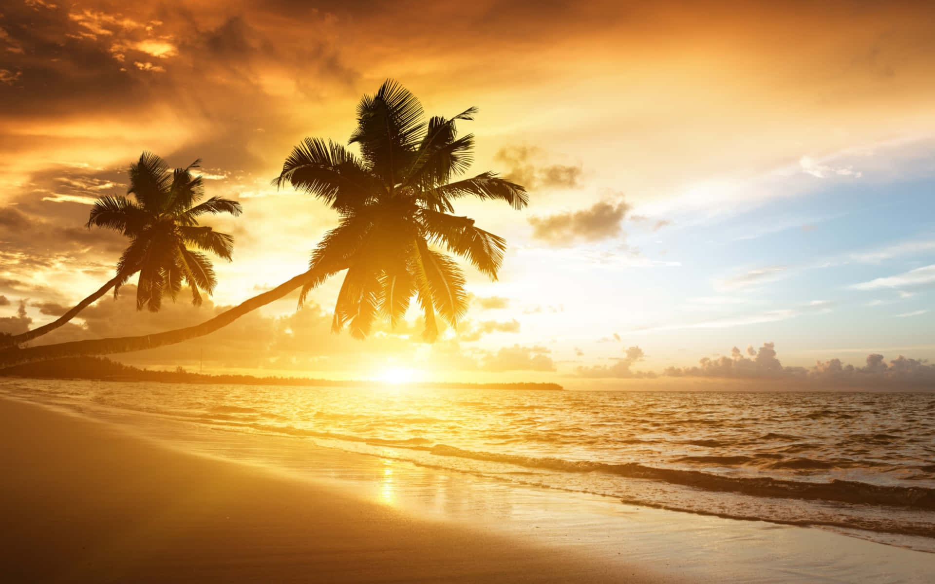  壁紙 — 金色夕陽在平靜熱帶海灘上，溫柔海浪拍打，棕櫚樹剪影後方閃耀。