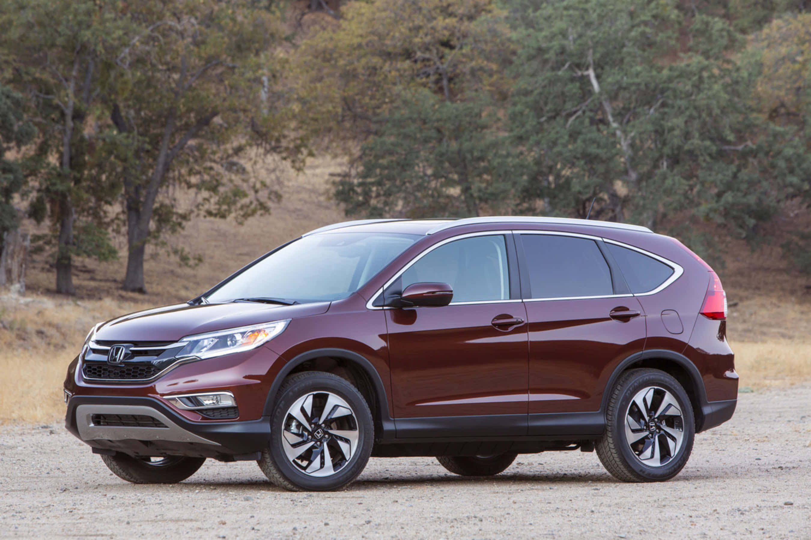 Honda Cr-v 桌布 壁紙 — 一輛酒紅色本田CR-V SUV停泊在泥路上，周圍是乾草和茂密的樹木，在明亮的日光下。