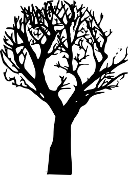 迷霧森林小徑.JPG 壁紙