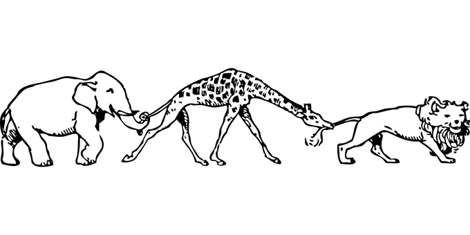 長頸鹿剪影.JPG 壁紙