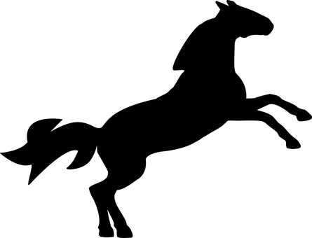 黑暗中雄駒.JPG 壁紙