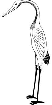 黑畫面無內容.JPG 壁紙