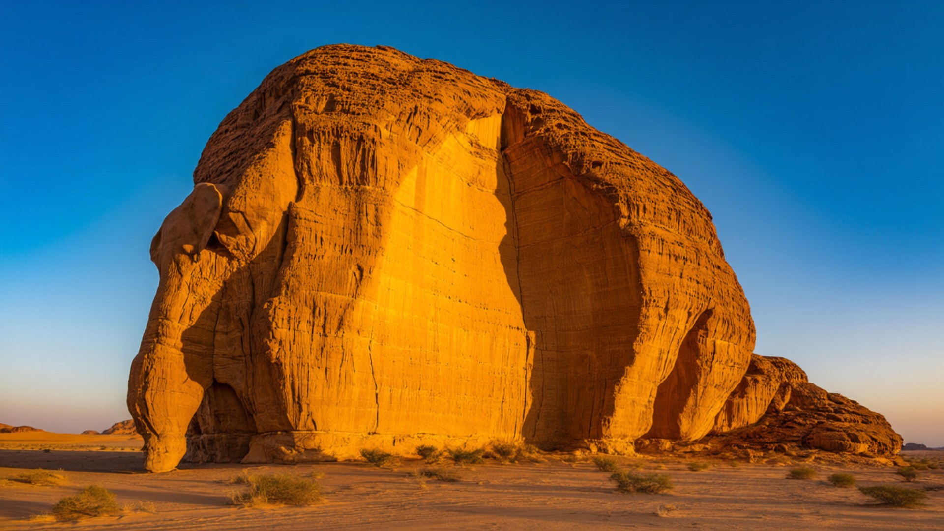 Elephant Rock Sunrise 壁紙 — 一個巨大的金色大象形狀岩石在晴朗的藍天下獨自矗立在廣闊的沙漠中。