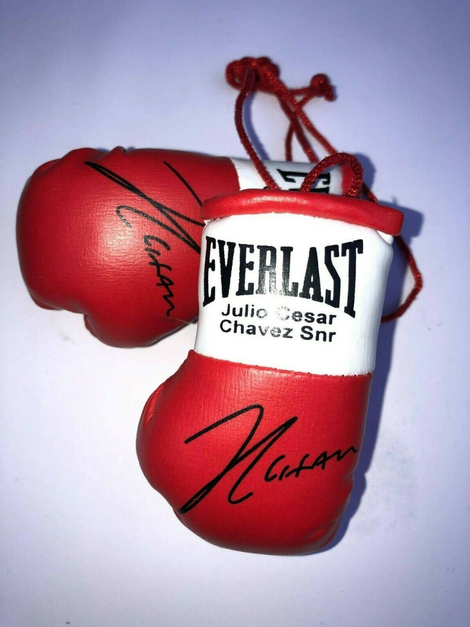 Boxing 桌布 壁紙 — Julio Cesar Chavez Sr 簽名的迷你紅色和白色 Everlast 拳擊手套掛在純白色背景上。