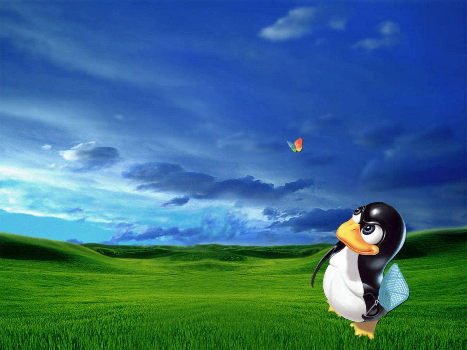 卡通企鵝在綠色田野中觀看色彩繽紛的蝴蝶在藍天下飛舞 — Linux 壁紙