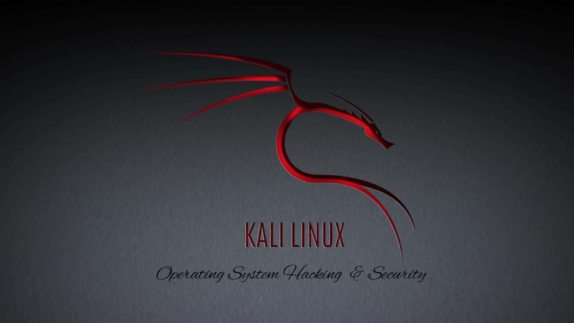 Kali Linux 圖片