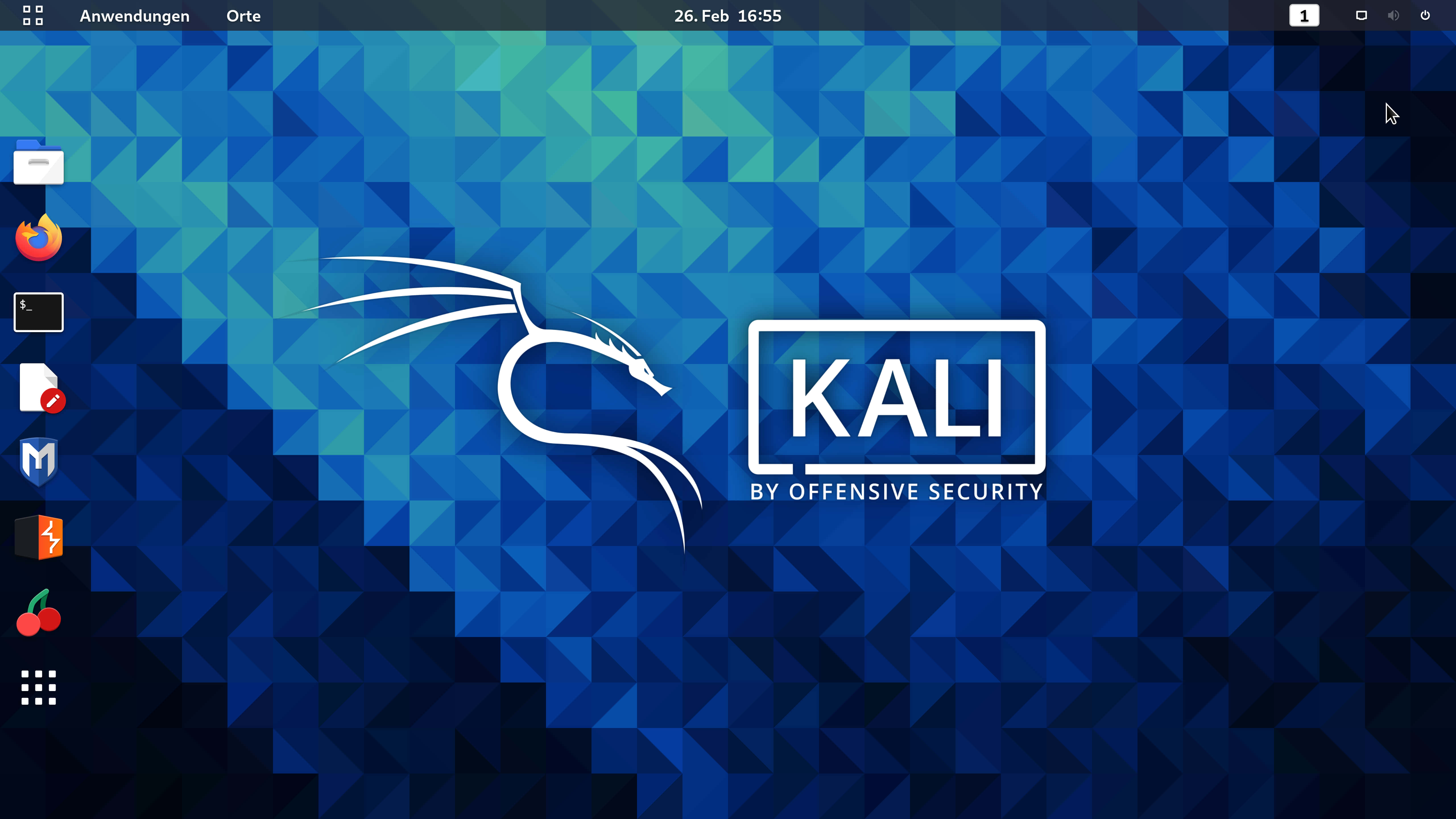 Kali Linux 圖片 壁紙