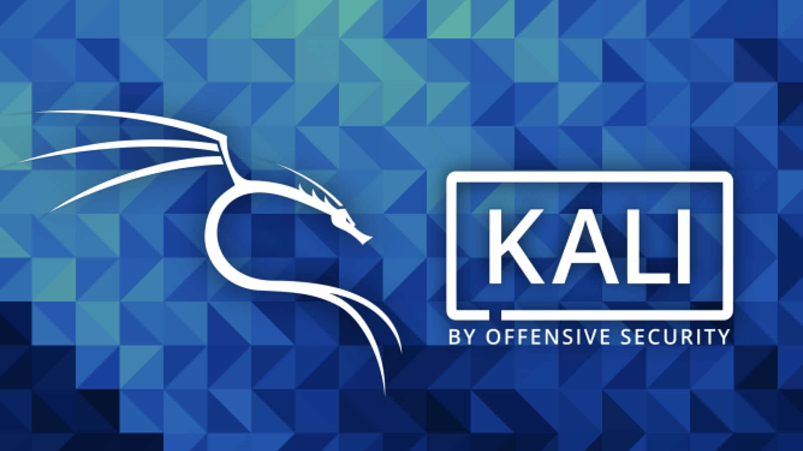 Kali Linux 圖片 壁紙