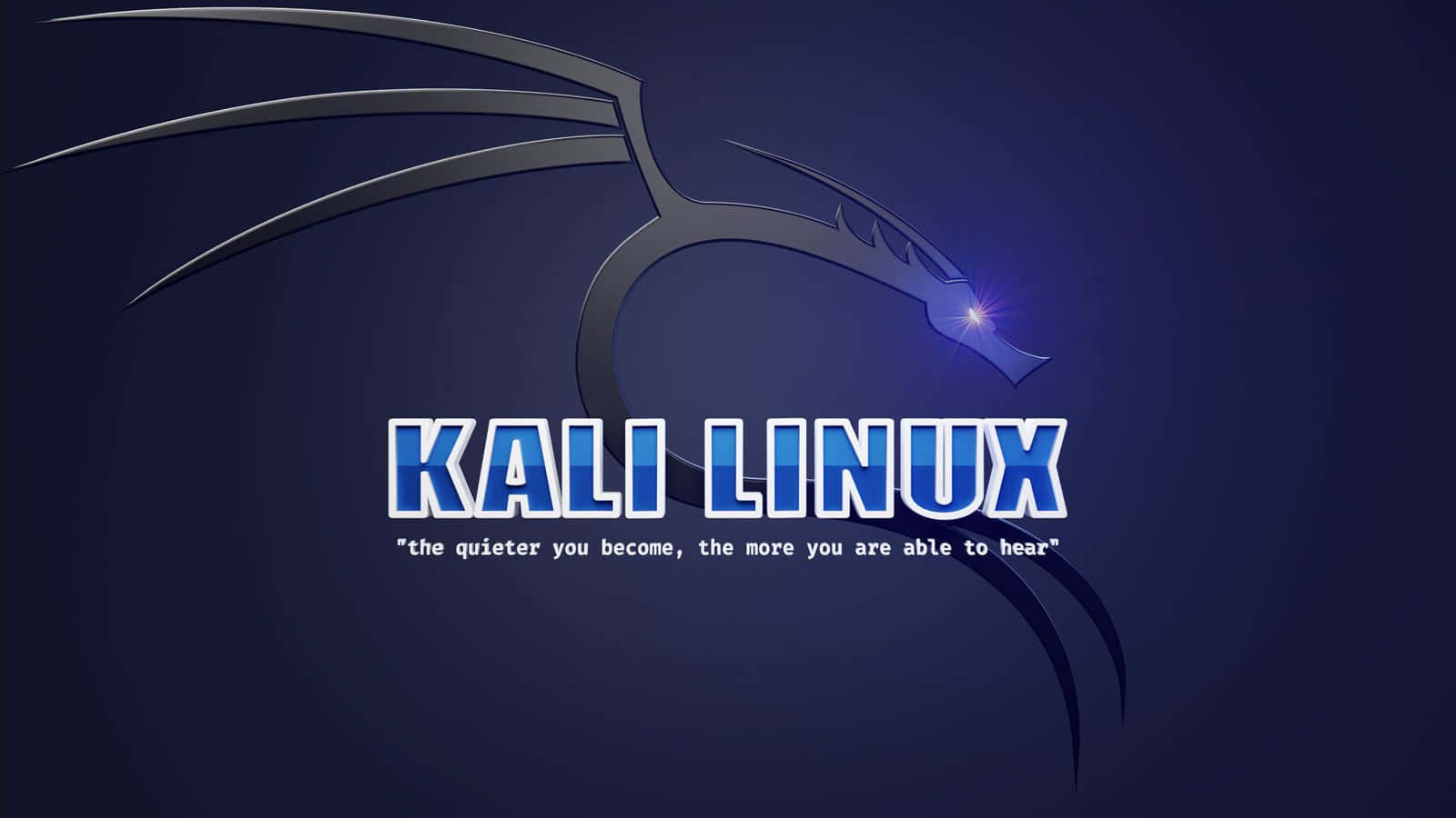 Kali Linux 圖片 壁紙