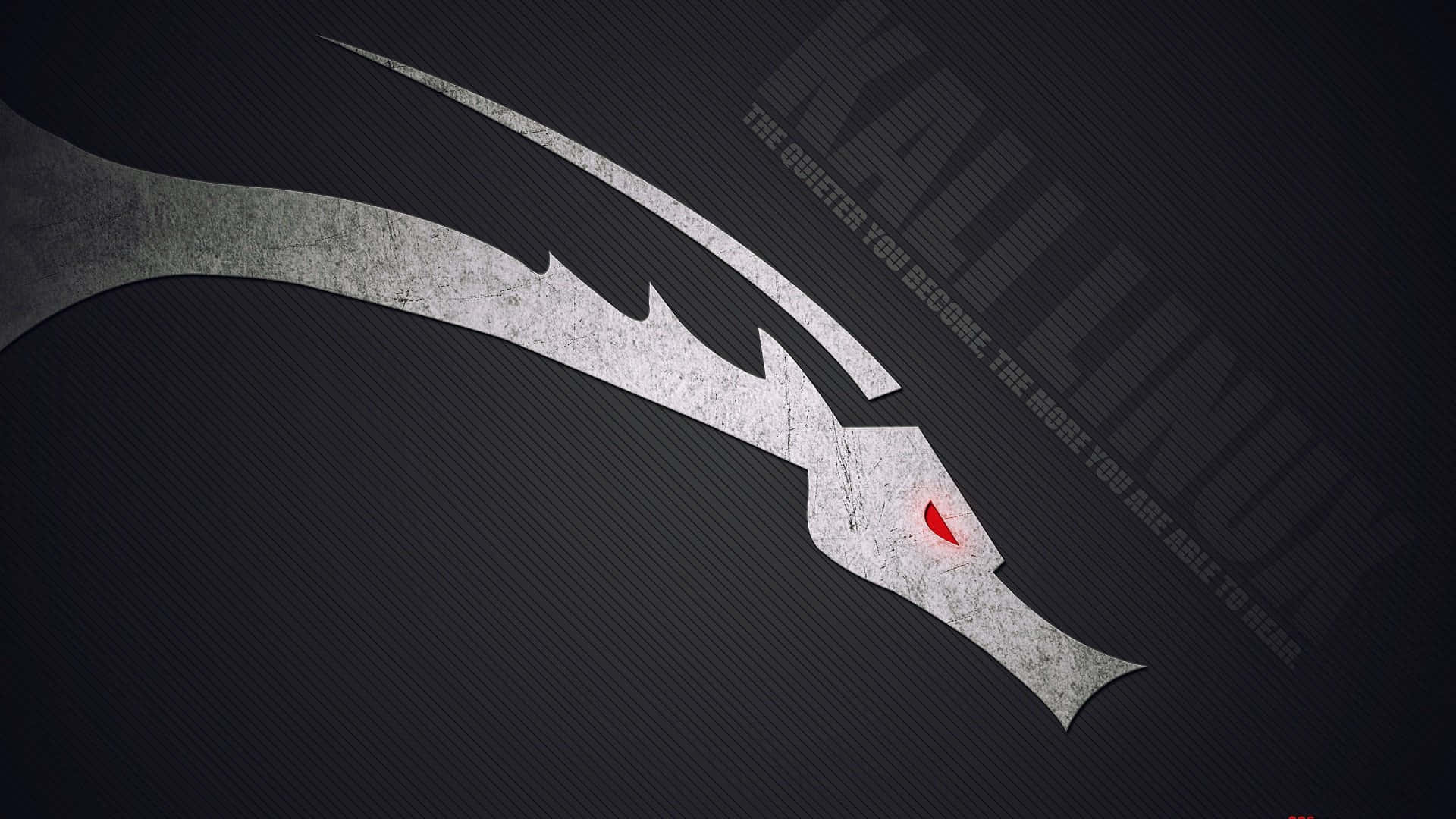 Kali Linux 圖片 壁紙