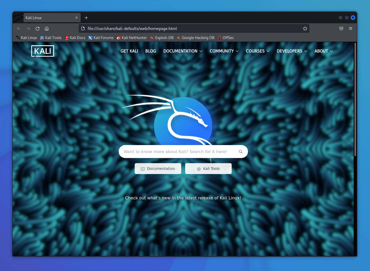 Kali Linux 圖片 壁紙