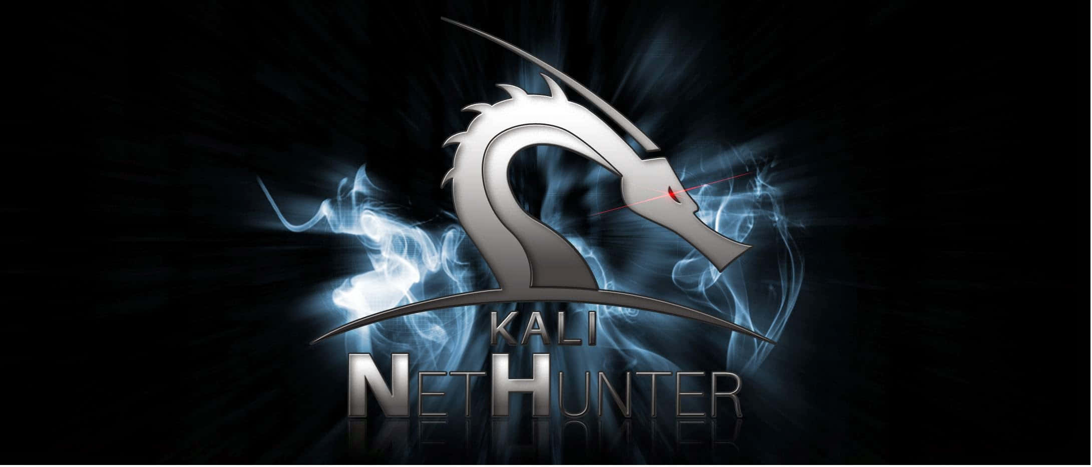 Kali Linux 圖片 壁紙