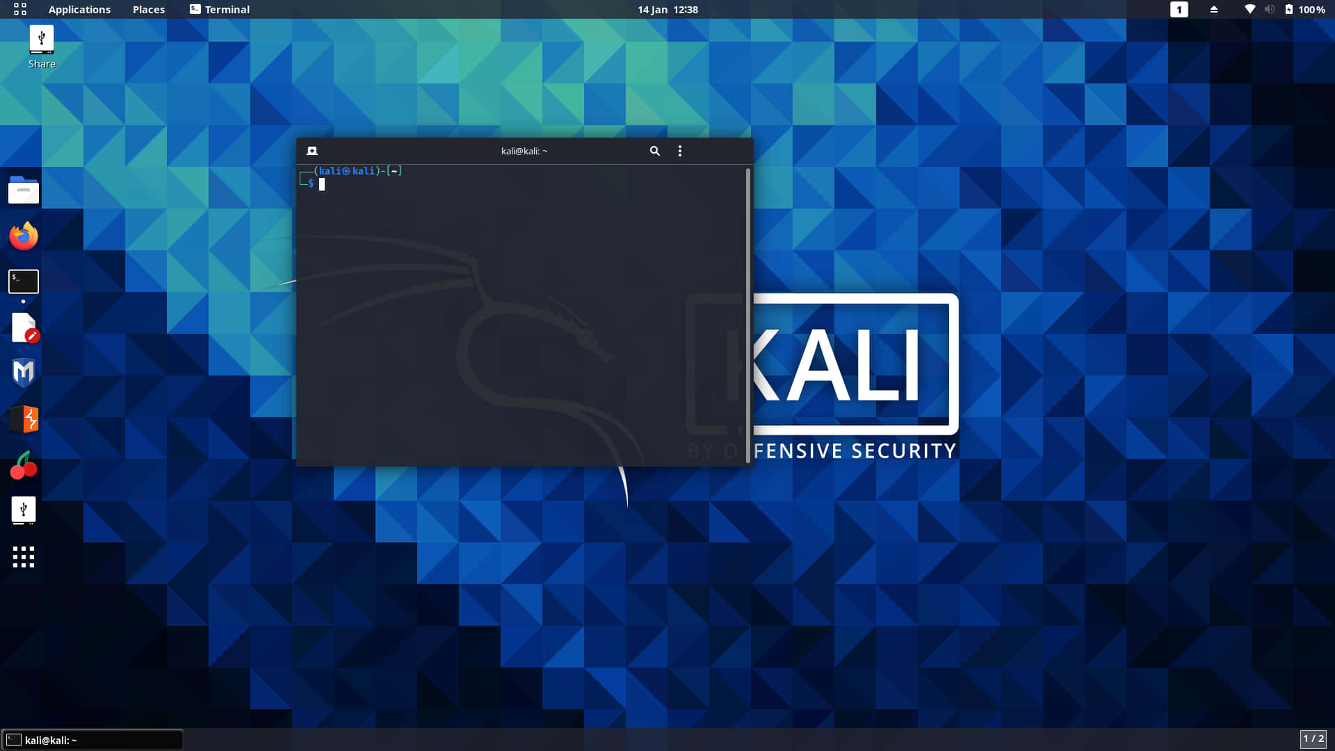 Kali Linux 圖片 壁紙