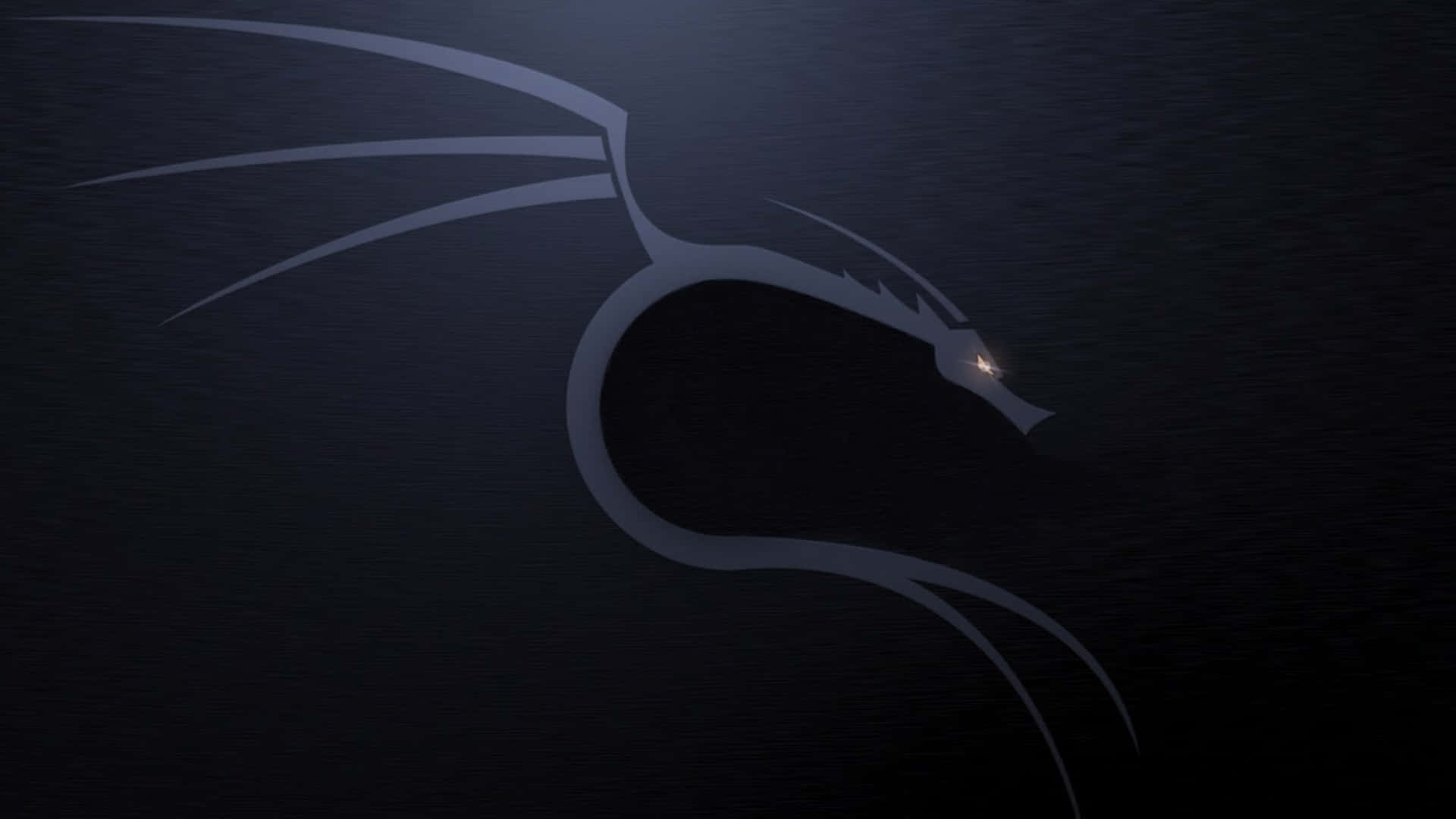 Kali Linux 圖片 壁紙