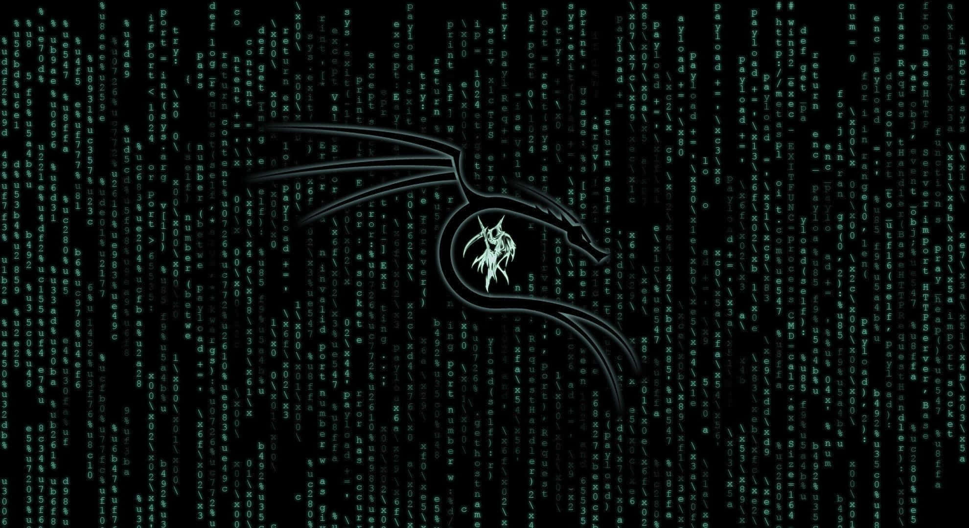Kali Linux 圖片 壁紙