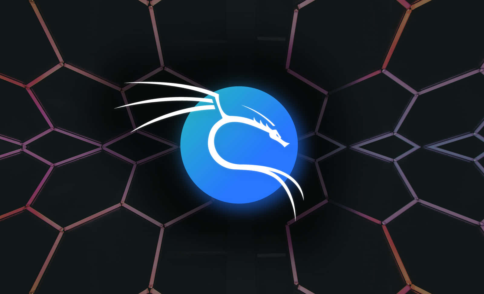 Kali Linux 圖片 壁紙
