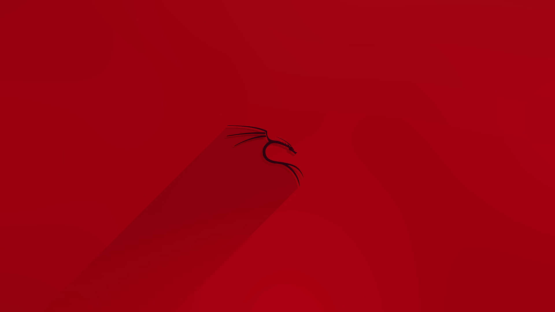 Kali Linux 圖片 壁紙