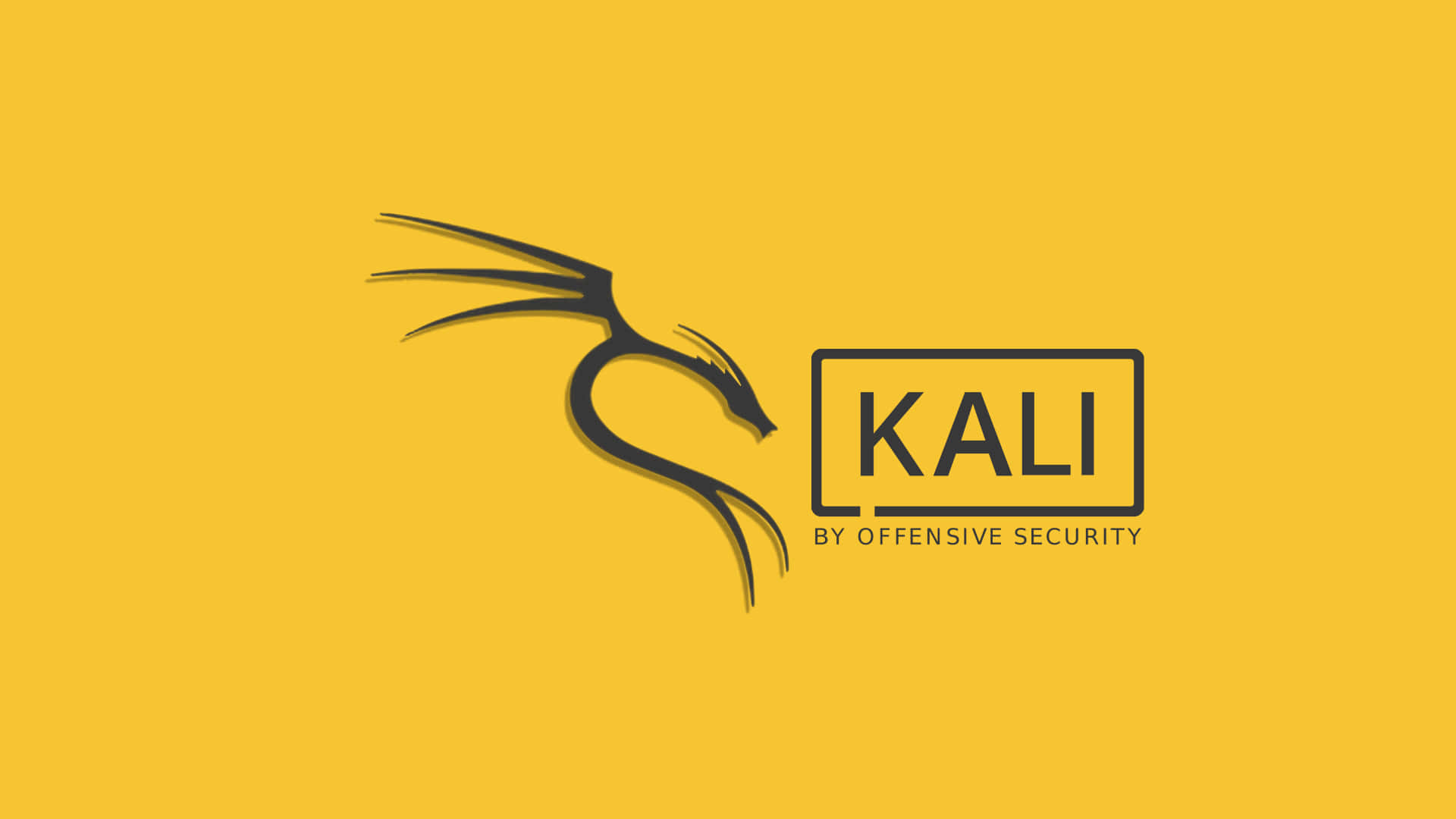 Kali Linux 圖片 壁紙