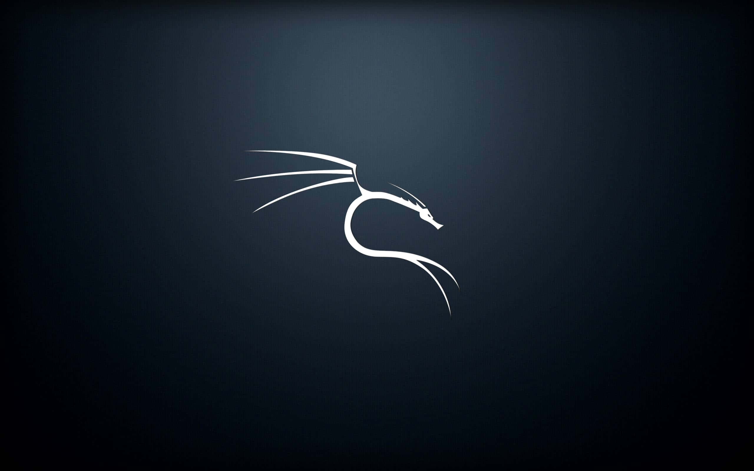 Kali Linux 桌布 壁紙