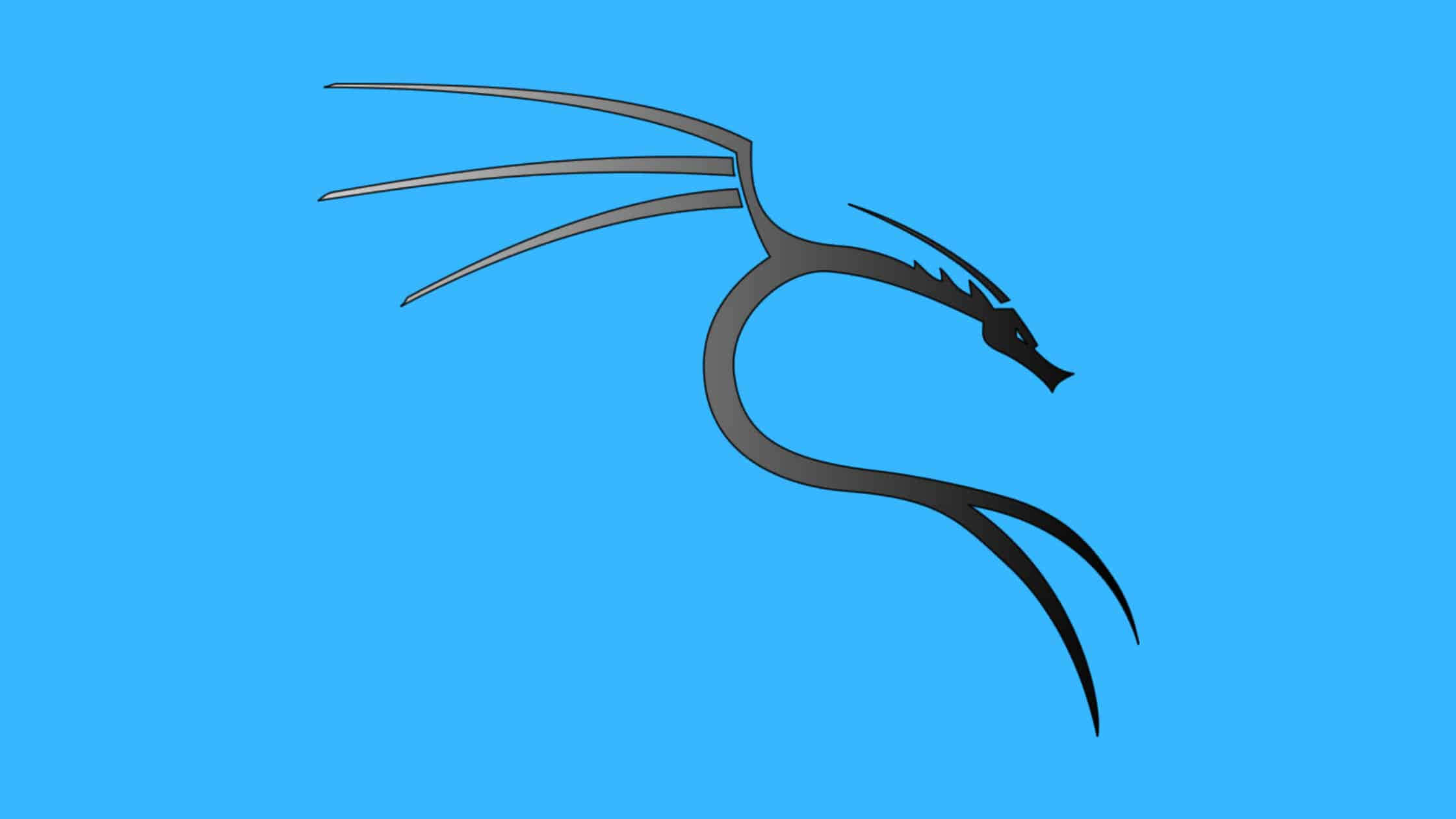 Kali Linux 桌布 壁紙