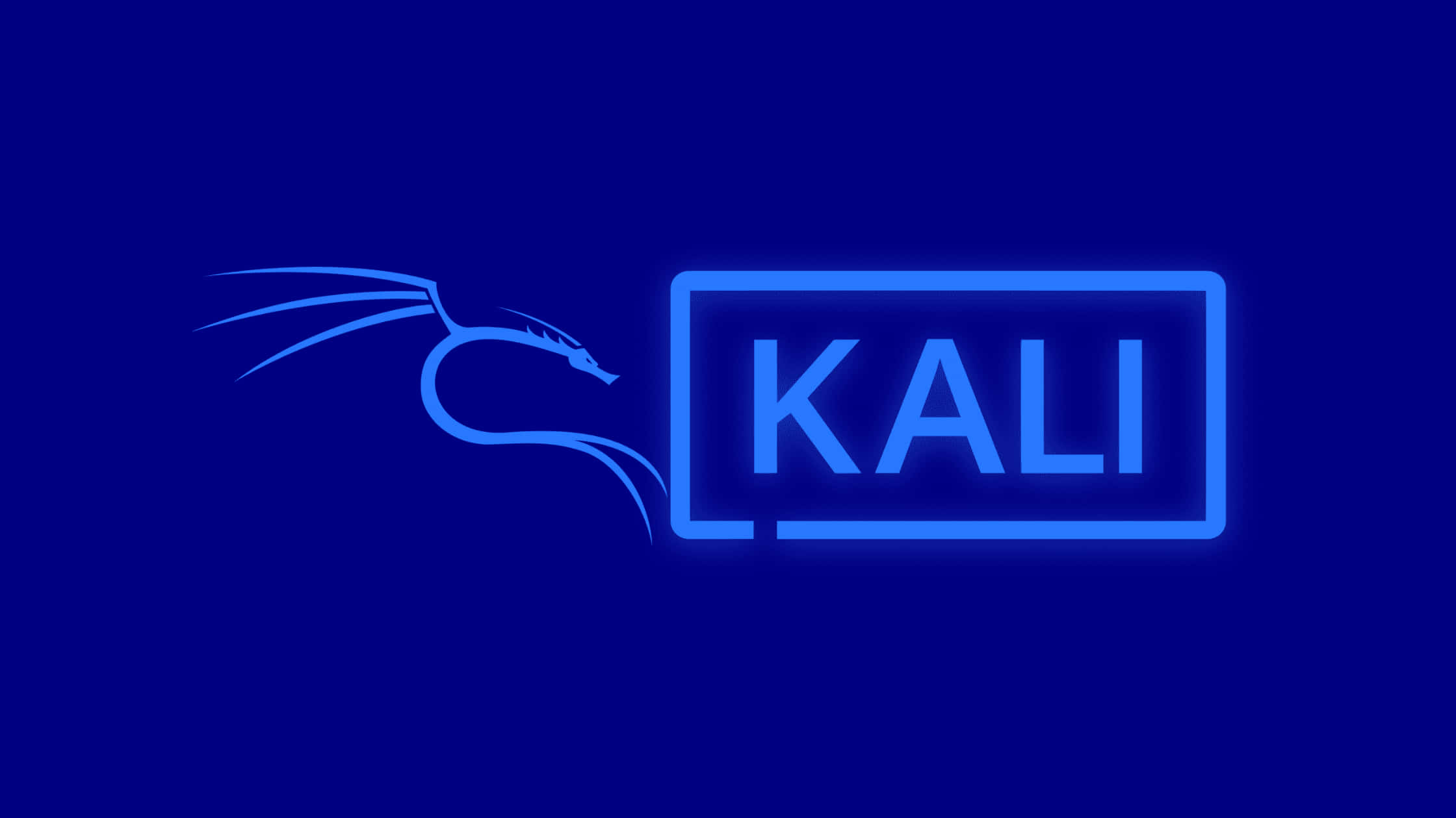 Kali Linux 桌布 壁紙