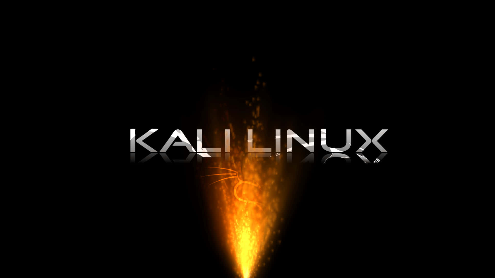 Kali Linux 桌布 - 桌面桌布 壁紙