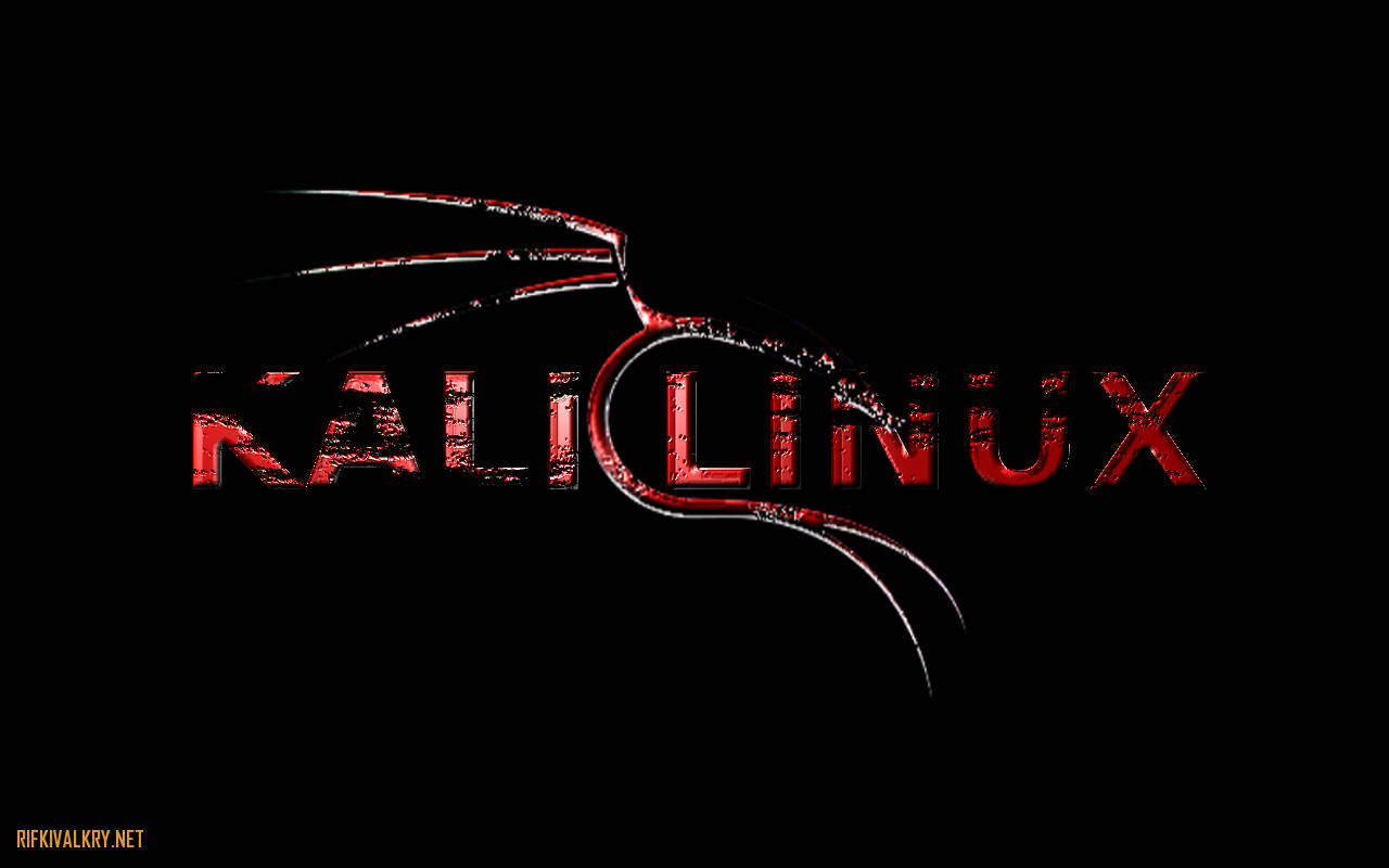 kali 桌布 壁紙 — Kali Linux 標誌在鮮明的黑色背景上以紋理紅色發光，帶有風格化的龍圖案。